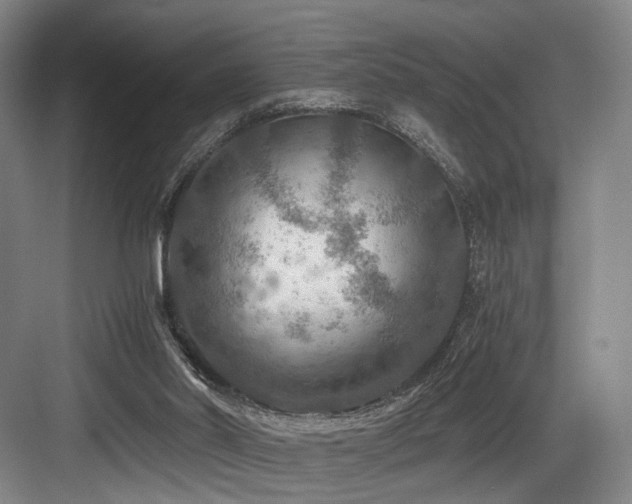 X0000084030014200702161446