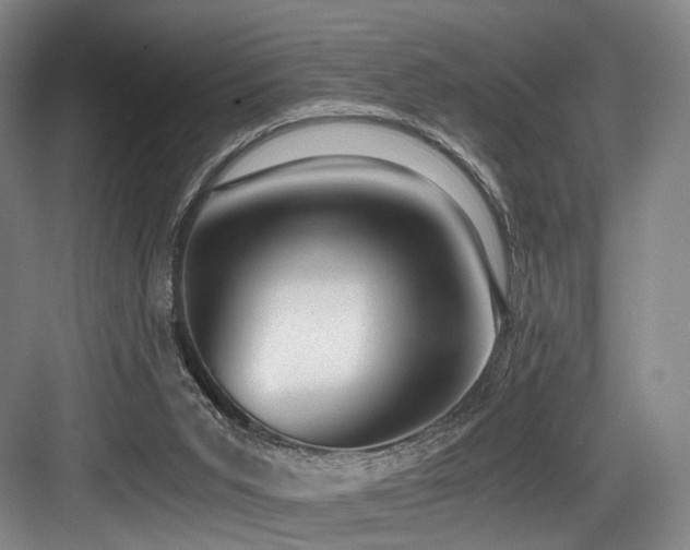 X0000084030015200702161446