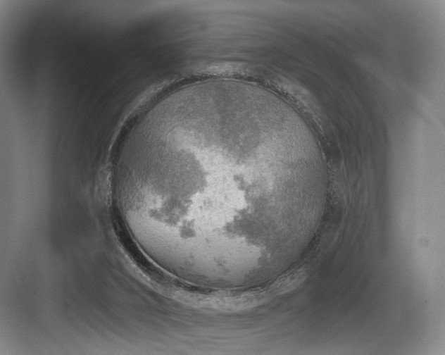 X0000084030016200702161446