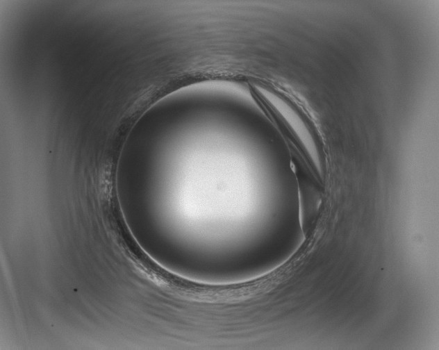 X0000084030017200702161446