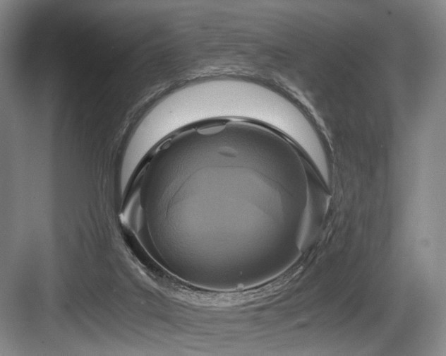 X0000084030019200702161446