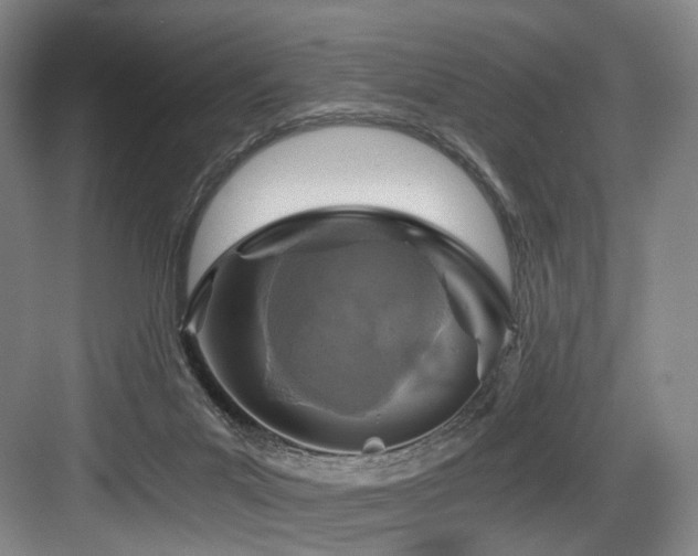 X0000084030023200702161446