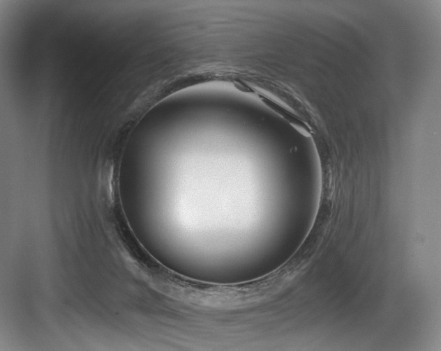 X0000084030024200702161446