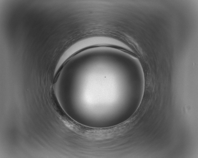 X0000084030025200702161446