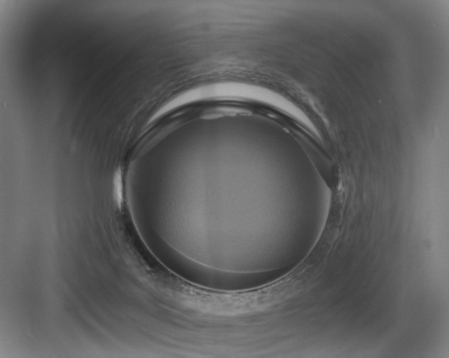 X0000084030027200702161446