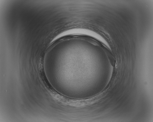 X0000084030029200702161446