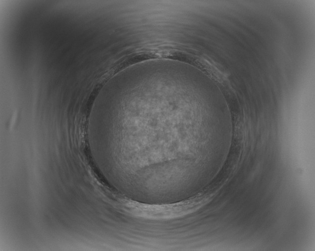 X0000084030030200702161446