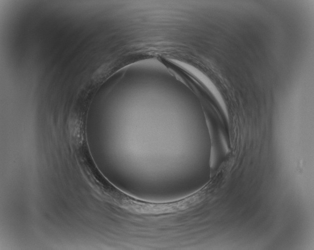 X0000084030031200702161446