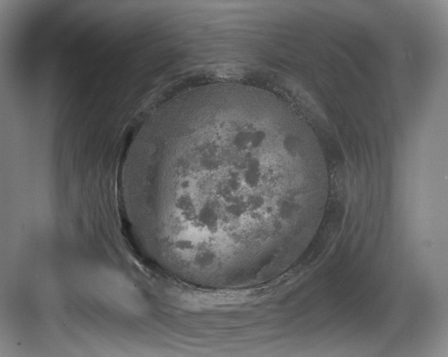 X0000084030032200702161446