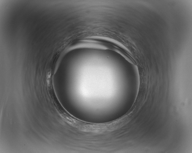 X0000084030033200702161446