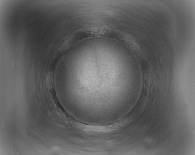 X0000084030034200702161446