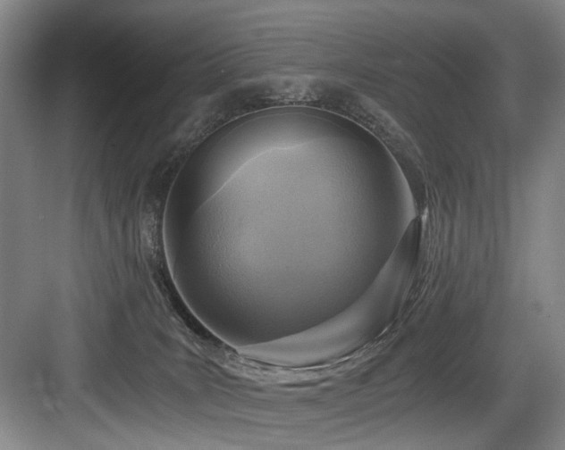 X0000084030035200702161446