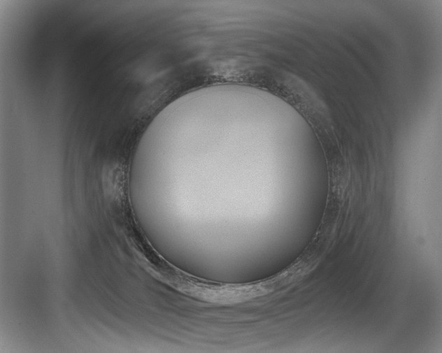 X0000084030036200702161446