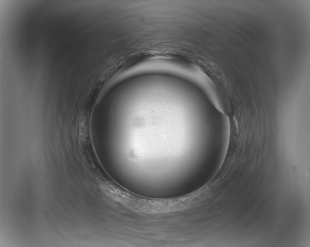 X0000084030037200702161446