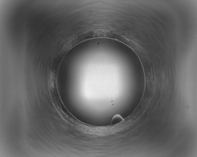 X0000084030038200702161446