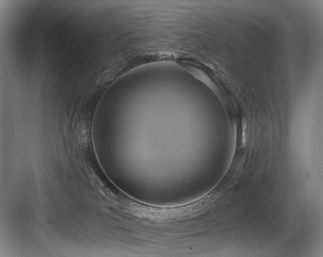 X0000084030039200702161446