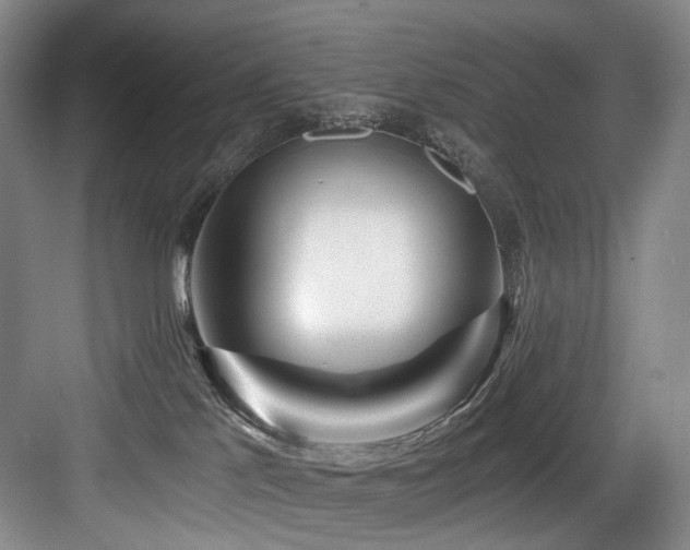 X0000084030041200702161446