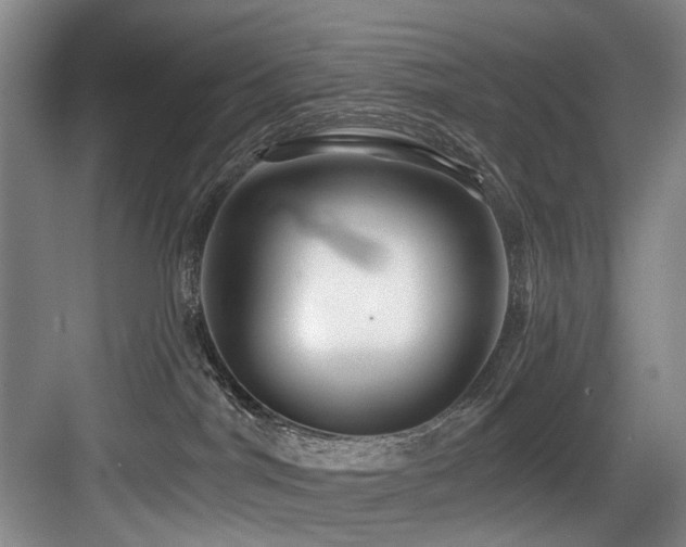 X0000084030044200702161446