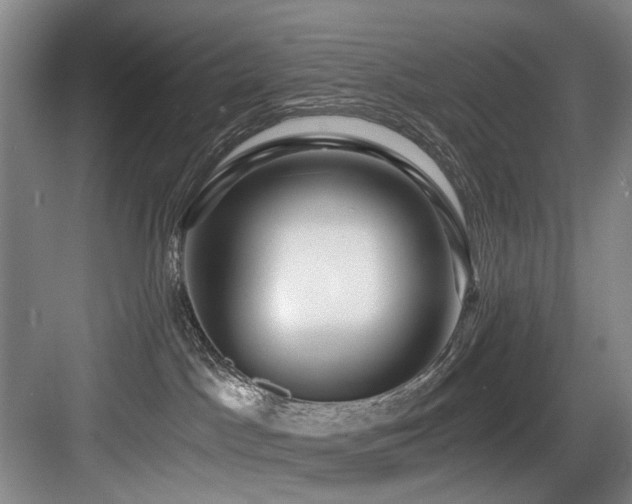 X0000084030045200702161446