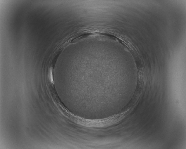 X0000084030046200702161446