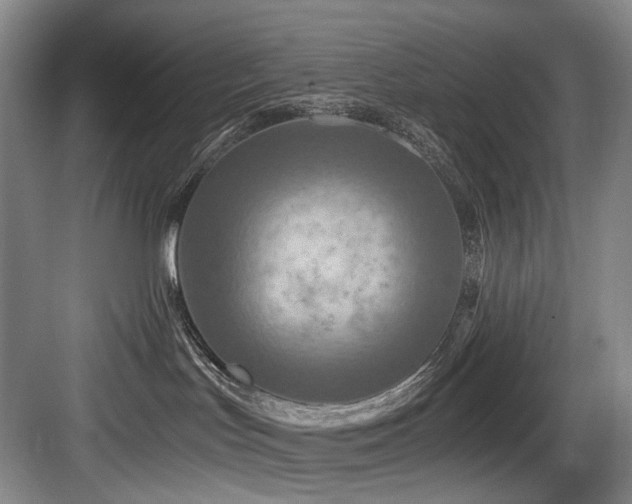 X0000084030047200702161446