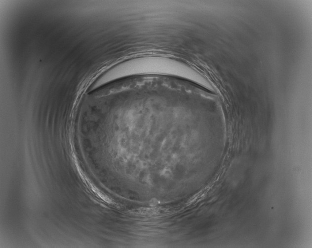 X0000084030049200702161445