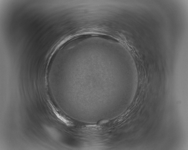 X0000084030050200702161445