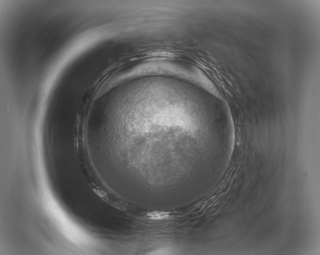 X0000084030052200702161445