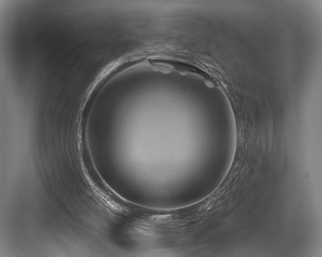 X0000084030054200702161445