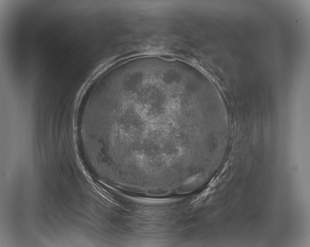 X0000084030055200702161445