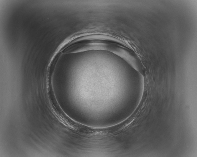 X0000084030056200702161445