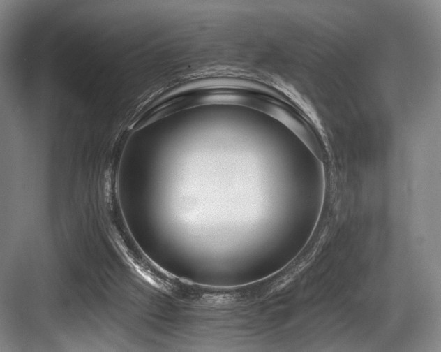 X0000084030057200702161445