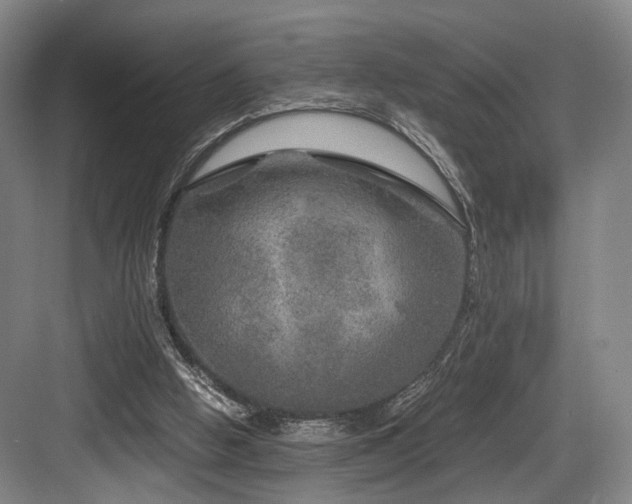 X0000084030058200702161445