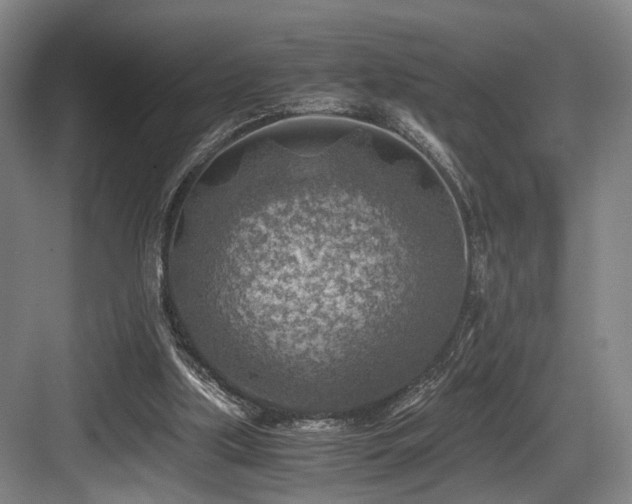 X0000084030059200702161445