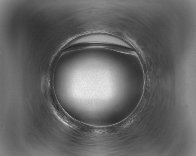 X0000084030060200702161445