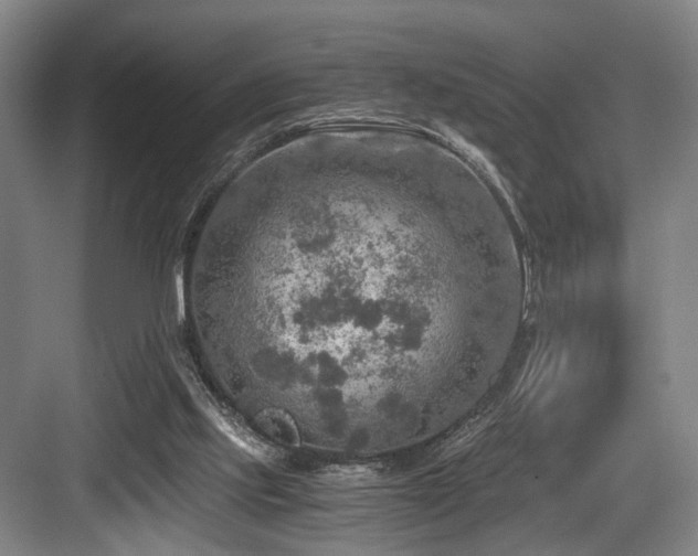 X0000084030061200702161445