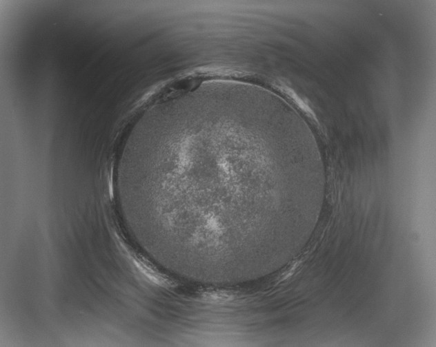 X0000084030062200702161445