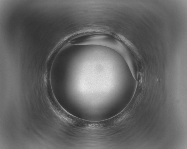 X0000084030064200702161445