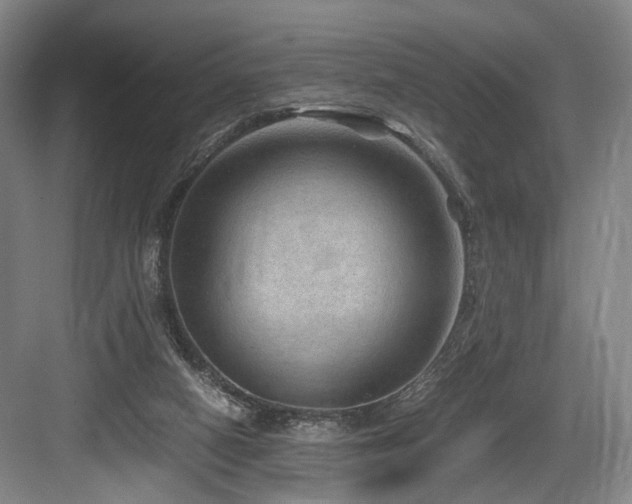 X0000084030066200702161445