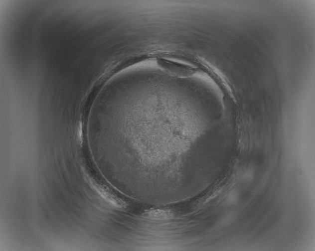 X0000084030067200702161445