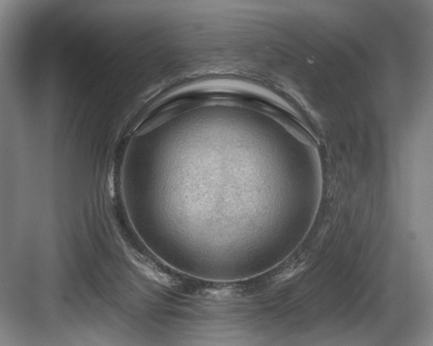 X0000084030068200702161445