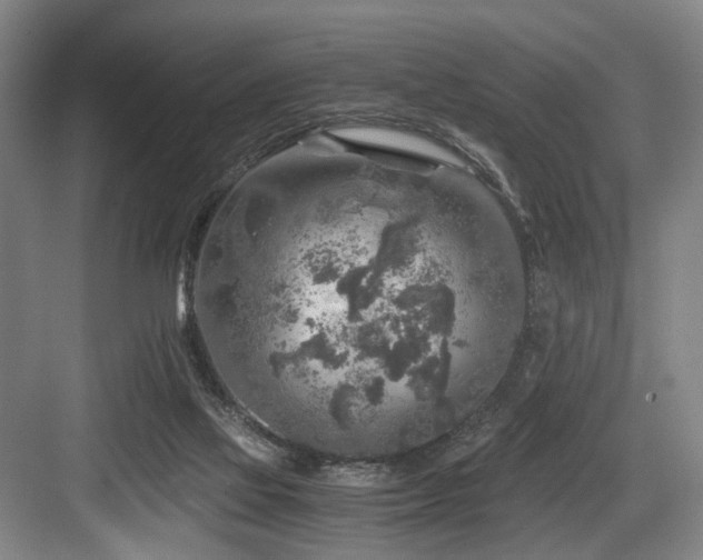 X0000084030069200702161445