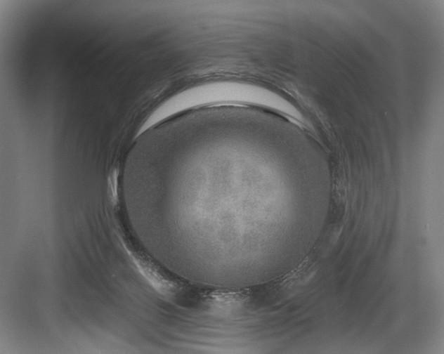 X0000084030070200702161445