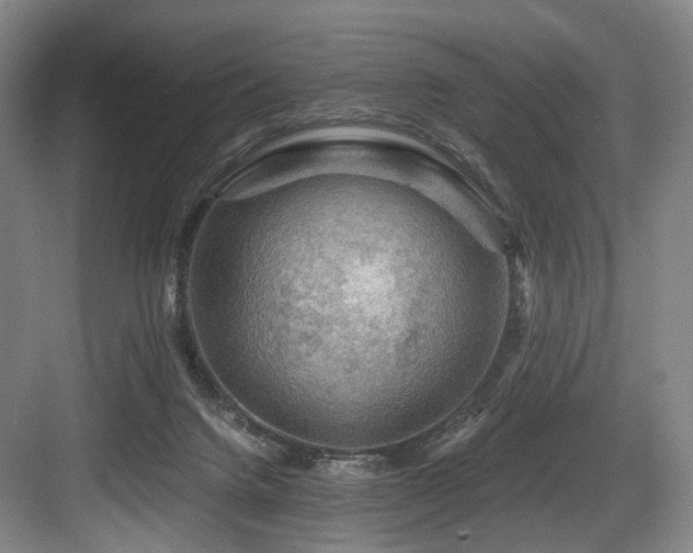 X0000084030072200702161445