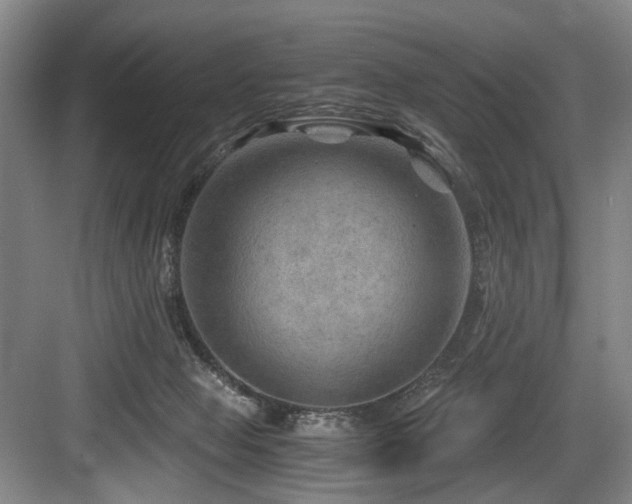 X0000084030077200702161445