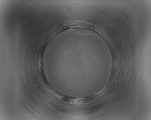 X0000084030078200702161445