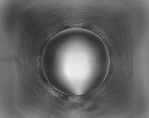 X0000084030079200702161445