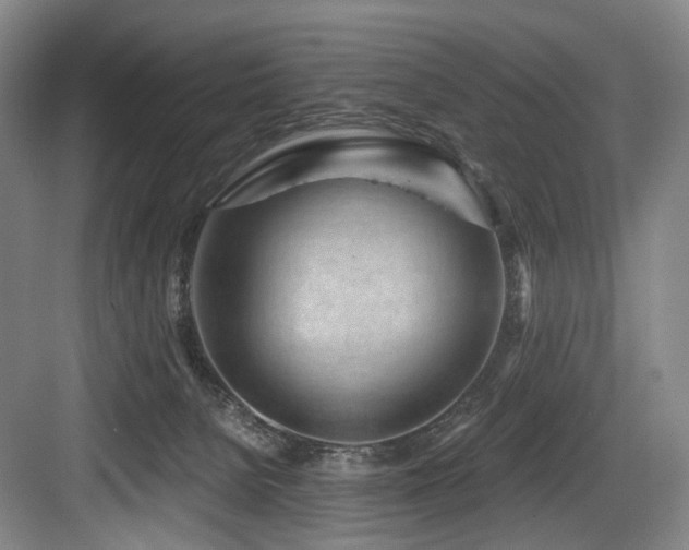 X0000084030080200702161445