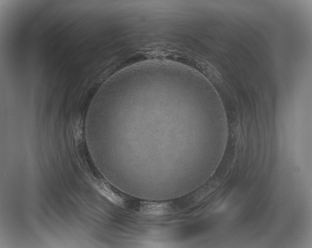 X0000084030081200702161445