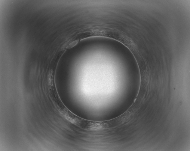 X0000084030083200702161445